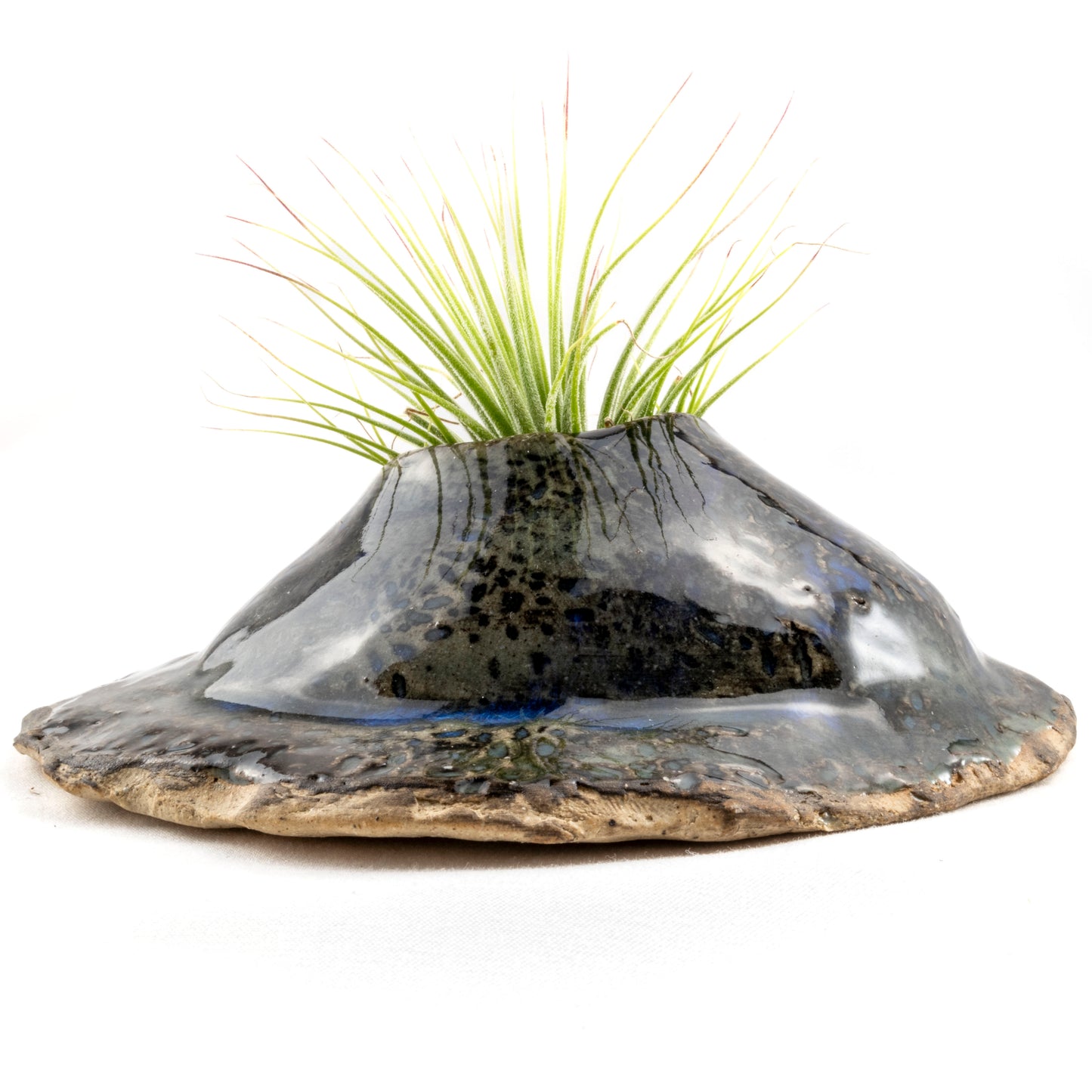Blue and Earth-Toned Ceramic Wall Hanging Air Plant Holder