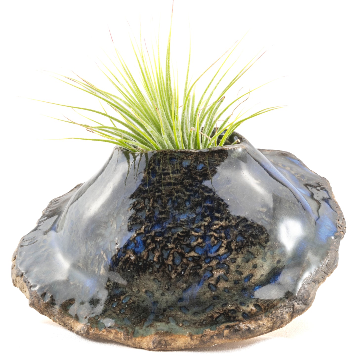 Blue and Earth-Toned Ceramic Wall Hanging Air Plant Holder