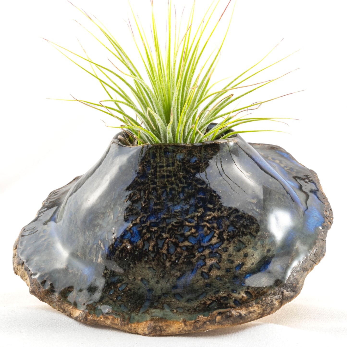 Blue and Earth-Toned Ceramic Wall Hanging Air Plant Holder