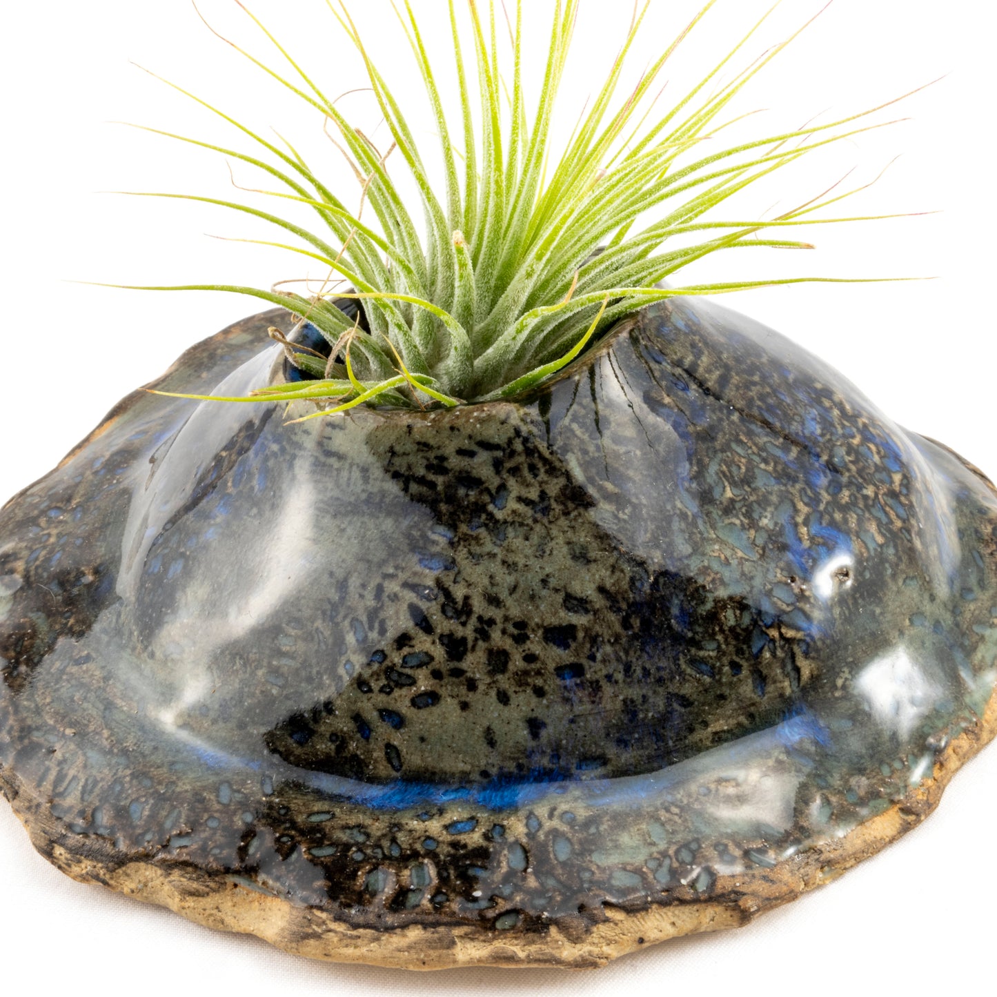 Blue and Earth-Toned Ceramic Wall Hanging Air Plant Holder