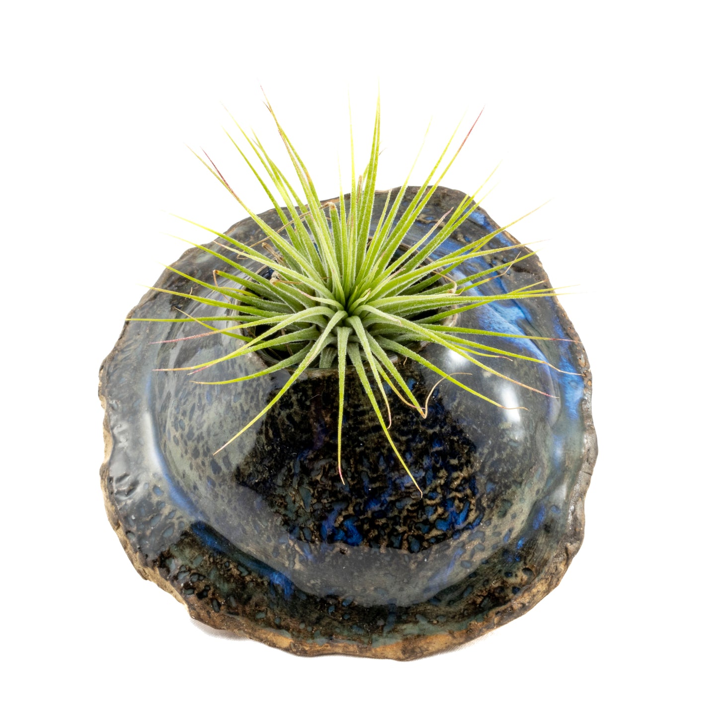 Blue and Earth-Toned Ceramic Wall Hanging Air Plant Holder